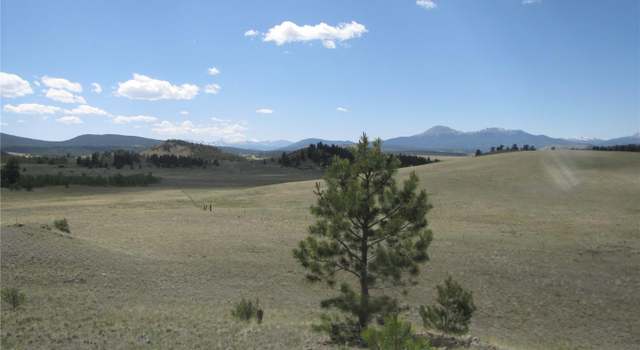 Photo of 499 Saddle Horn Rd, Hartsel, CO 80449