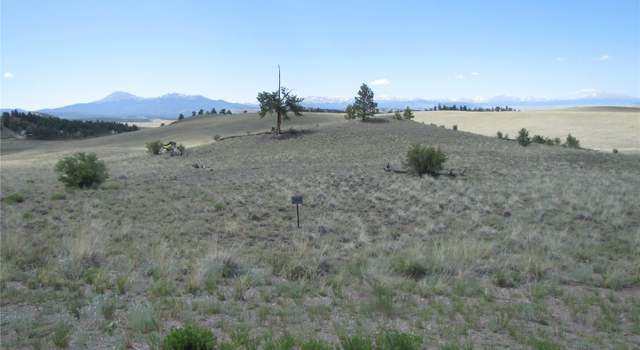 Photo of 499 Saddle Horn Rd, Hartsel, CO 80449