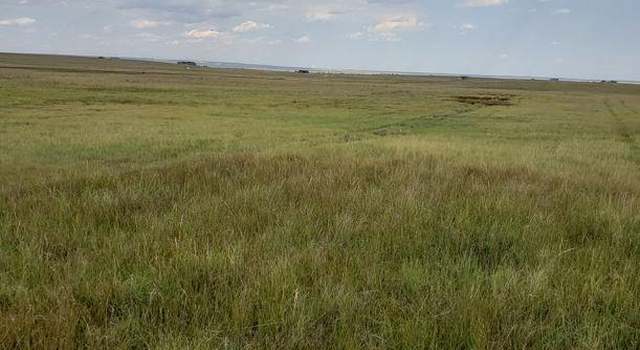 Photo of 8155 Cowboy Ranch Vw, Peyton, CO 80831