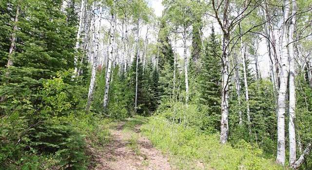 Photo of 1390 Overlook Dr, Collbran, CO 81624