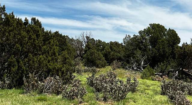 Photo of Lot 589 La Deora Blvd, Walsenburg, CO 81089
