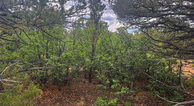Photo of 106 Colorado Land & Grazing, Walsenburg, CO 81089