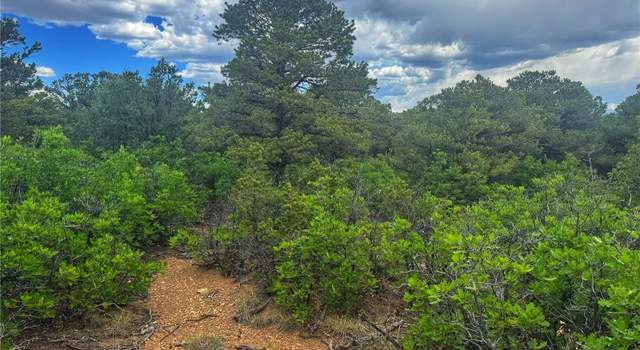 Photo of 106 Colorado Land & Grazing, Walsenburg, CO 81089