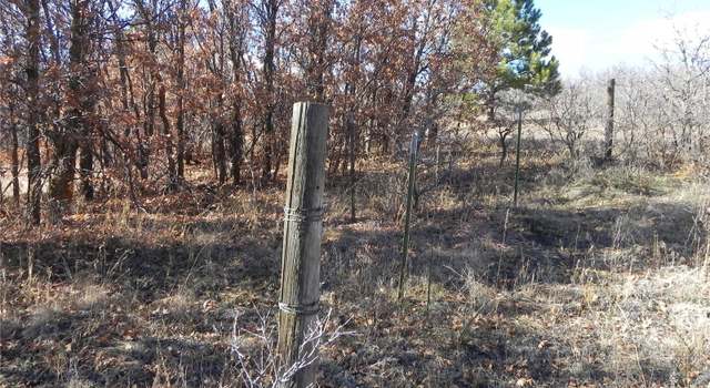 Photo of 6865 Cinque Tail Dr, Larkspur, CO 80118