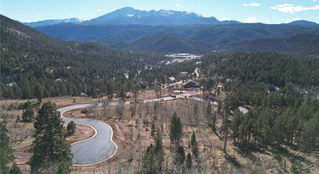 Photo of 1325 Blue Haven Pl, Woodland Park, CO 80863
