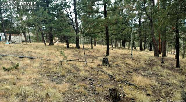 Photo of 910 Will Scarlet Dr, Divide, CO 80814