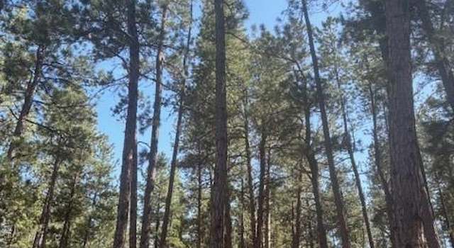 Photo of 560 Princess Rd, Cripple Creek, CO 80813
