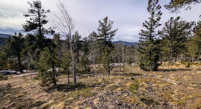 Photo of 288 Hayes St, Bailey, CO 80421