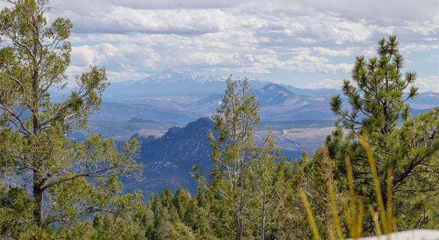 Photo of 13452 Riley Peak Rd, Conifer, CO 80433