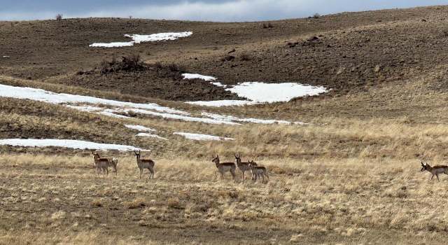Photo of 70 Black Gatto Trl, Hartsel, CO 80449