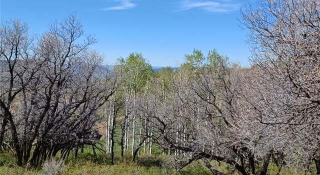 Photo of - Tbd Olive Street St, Clark, CO 80428