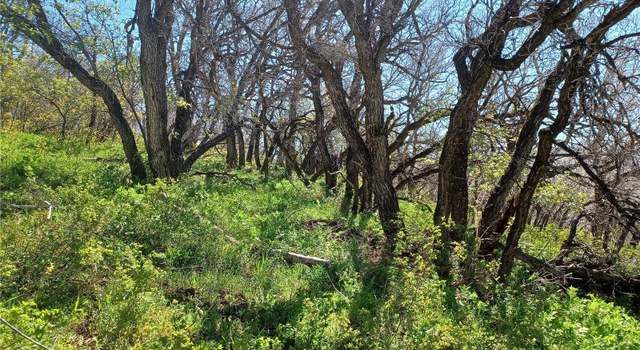 Photo of - Tbd Olive Street St, Clark, CO 80428