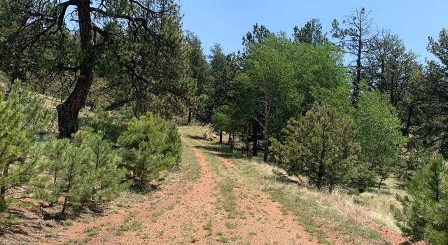 Photo of 415 Star Gate Hts, Florissant, CO 80816