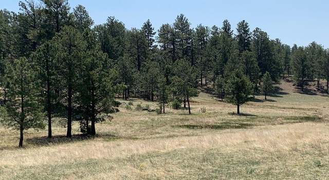 Photo of 415 Star Gate Hts, Florissant, CO 80816