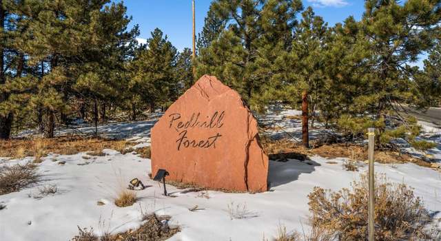 Photo of 2006 Redhill Rd, Fairplay, CO 80440