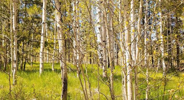 Photo of 32474 Ute Trl, Oak Creek, CO 80467