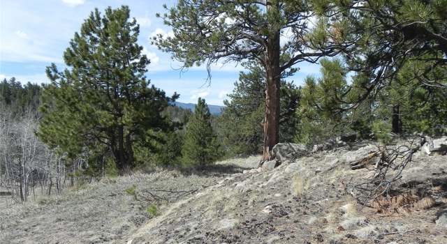 Photo of 160 Broken Arrow Path, Lake George, CO 80827