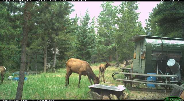 Photo of Lamartine, Idaho Springs, CO 80452
