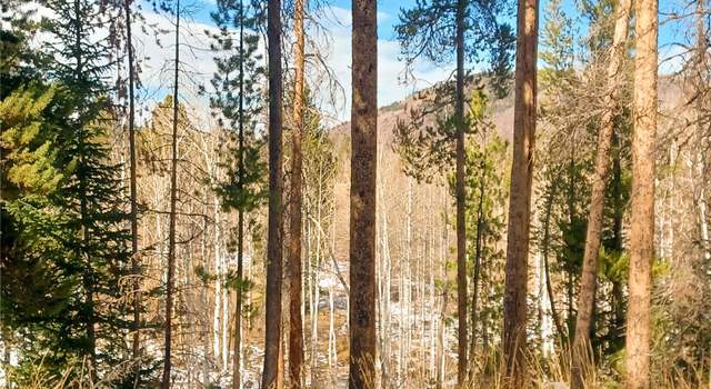 Photo of - Lot 63 Black Horse I, Oak Creek, CO 80467