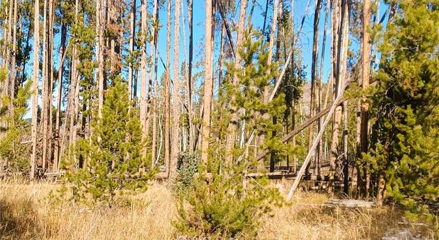 Photo of - Lot 63 Black Horse I, Oak Creek, CO 80467