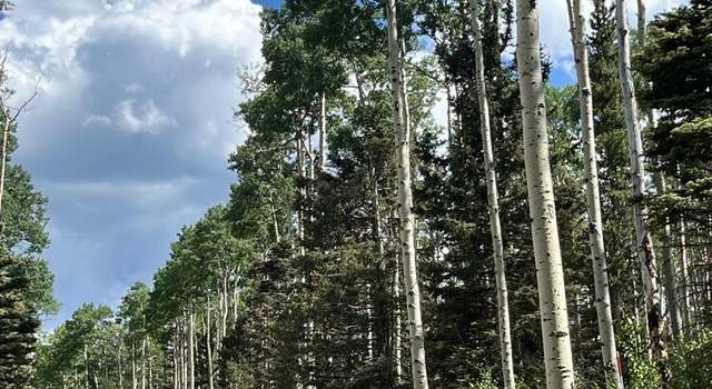 Photo of Sterenson, Fort Garland, CO 81133