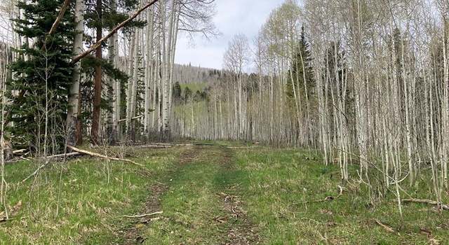 Photo of 20340 King Bolt Trl, Oak Creek, CO 80467