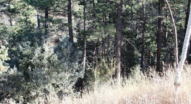 Photo of Lot A Pine Slope Rd, Idaho Springs, CO 80452