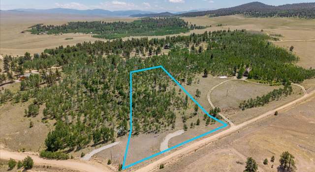 Photo of 40 Brahma Ct, Hartsel, CO 80449
