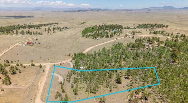 Photo of 40 Brahma Ct, Hartsel, CO 80449