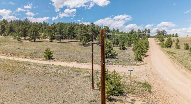 Photo of 40 Brahma Ct, Hartsel, CO 80449