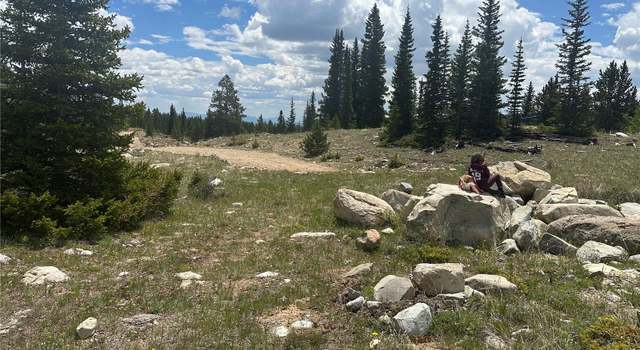 Photo of 4 Timberline Trl, Fairplay, CO 80440