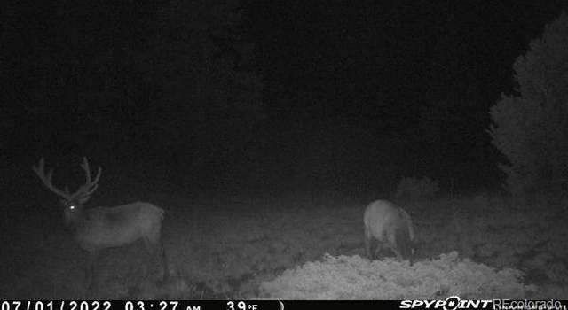 Photo of Tbd CR 575.1, Gardner, CO 81040