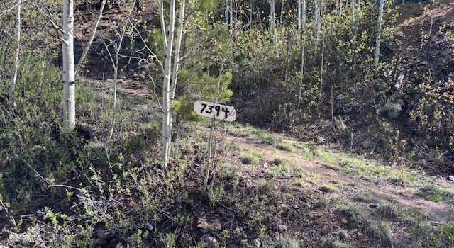 Photo of 7394 County Road 43, Bailey, CO 80421