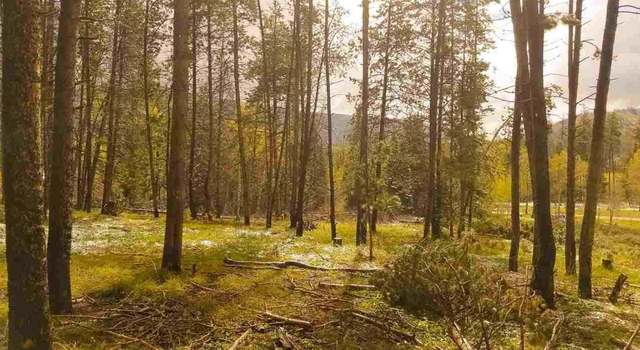 Photo of Lot 82 Horseback Subd at Stagecoach, Oak Creek, CO 80467