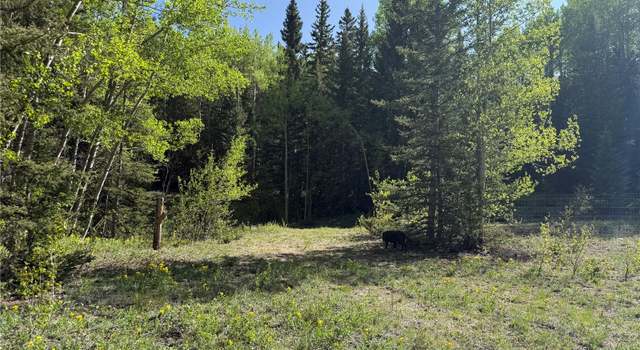 Photo of Lot 6843 Ryland Rd, Fort Garland, CO 81133
