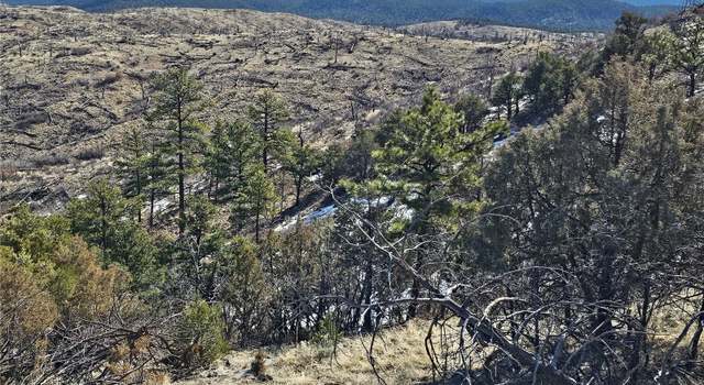 Photo of Vacant Land, Texas Creek, CO 81223