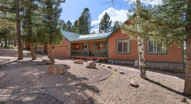 Photo of 4055 Omer Ln, Divide, CO 80814