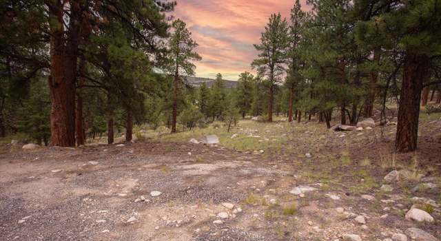 Photo of 16515 Falcon Dr, Nathrop, CO 81236