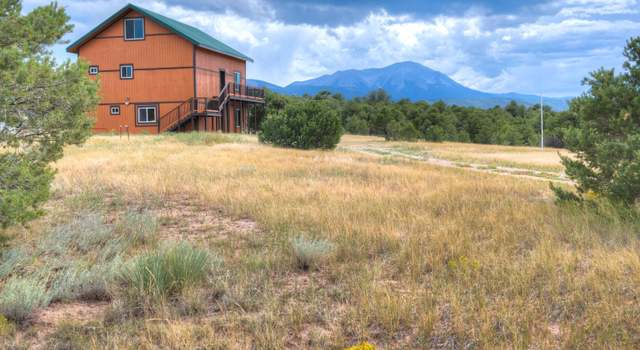 Photo of 780 County Road 351, La Veta, CO 81055
