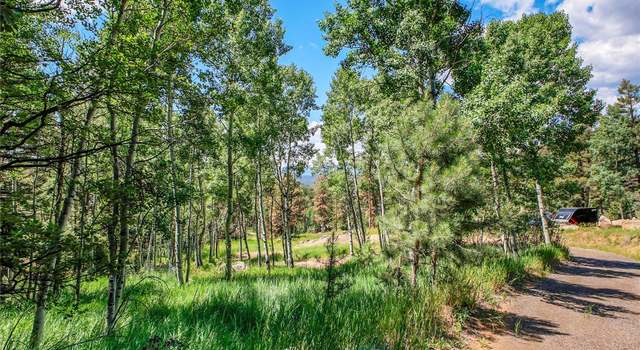 Photo of 12286 Styve Rd, Conifer, CO 80433