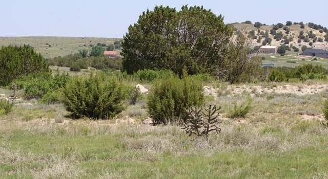 Photo of Lot 56, Beulah, CO 81004