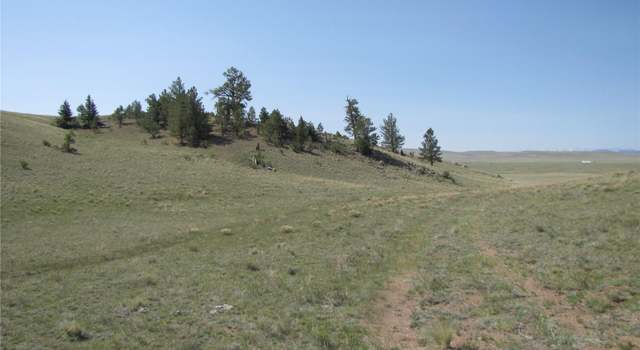 Photo of 792 Kinkehee Trl, Hartsel, CO 80449