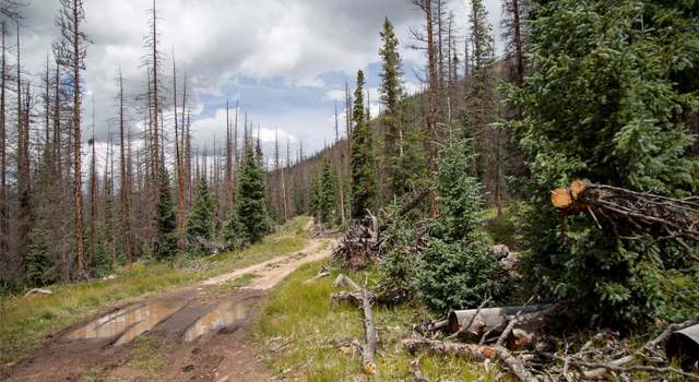 Photo of Tbd Forest Rd 503, Creede, CO 81130
