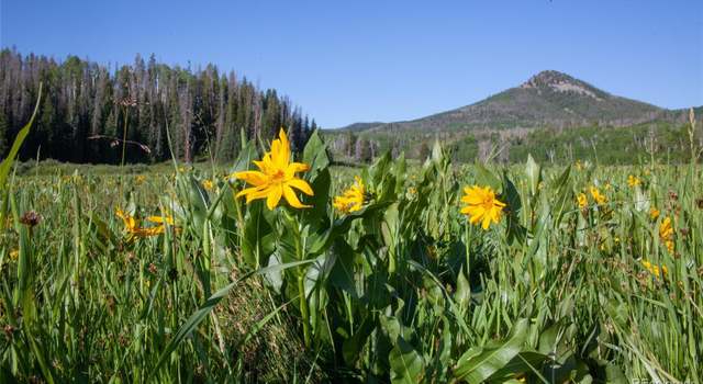 Photo of Tbd Rcr 129, Clark, CO 80428