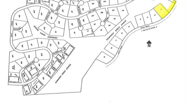 Photo of Lot 1 Black Horse II, Oak Creek, CO 80467