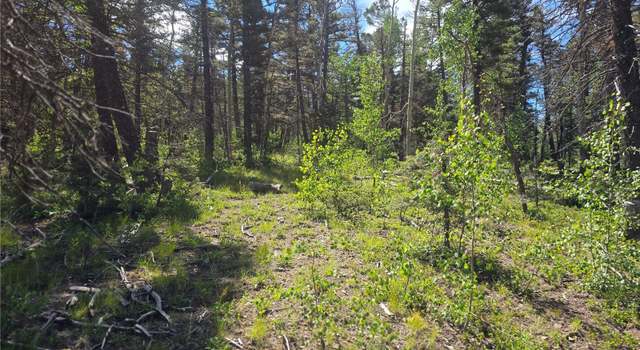 Photo of 5769 Balleroy Rd, Fort Garland, CO 81133