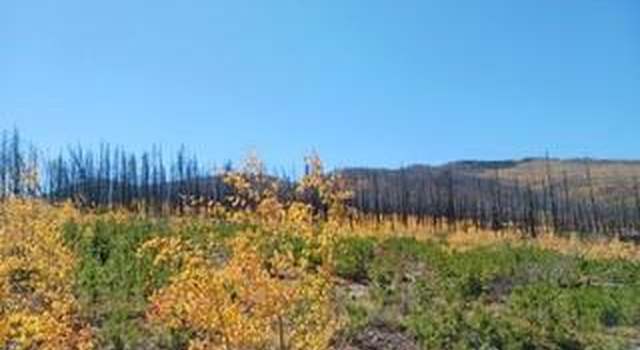 Photo of Ueda Pl, Fort Garland, CO 81133