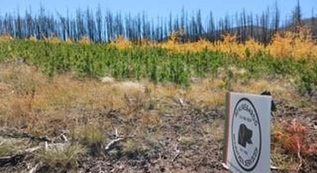 Photo of Ueda Pl, Fort Garland, CO 81133