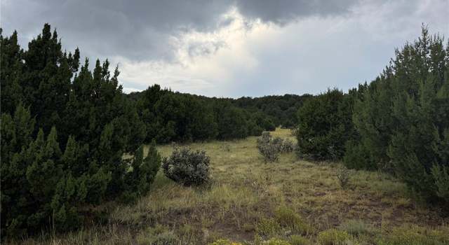 Photo of Reins Rd, Walsenburg, CO 81089