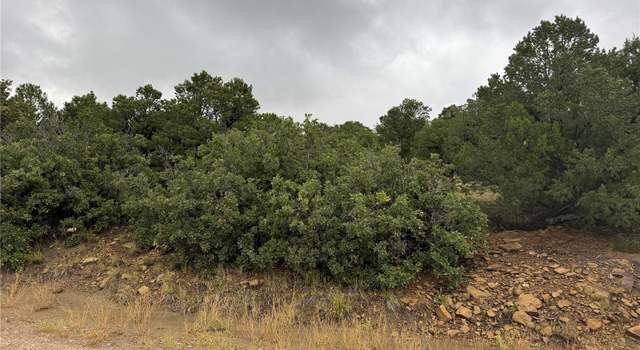 Photo of Reins Rd, Walsenburg, CO 81089